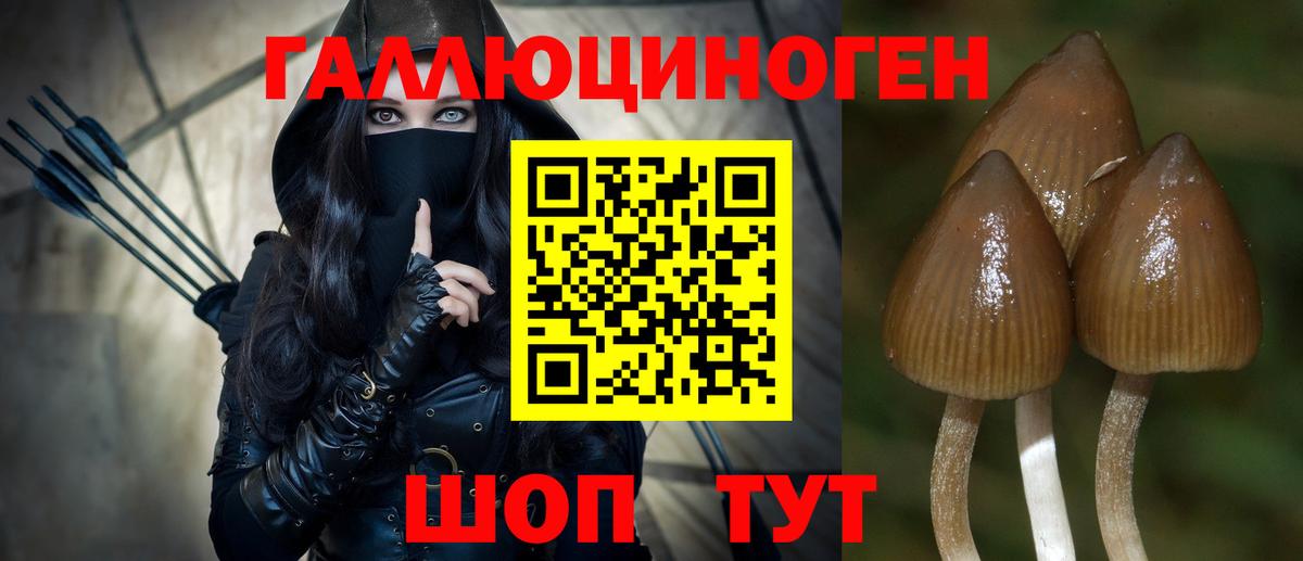 Псилоцибиновые грибы Magic Shrooms Ачинск